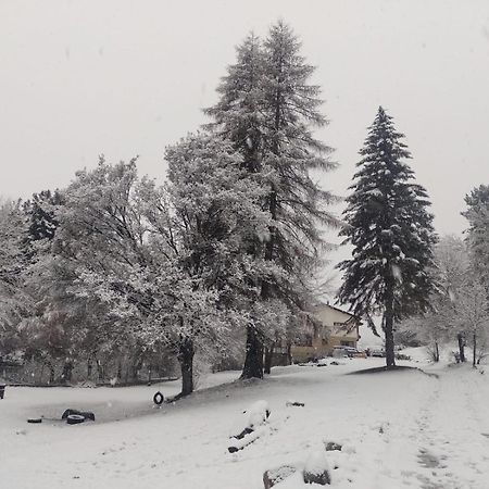 Posada Del Nireco San Carlos de Bariloche Exteriör bild
