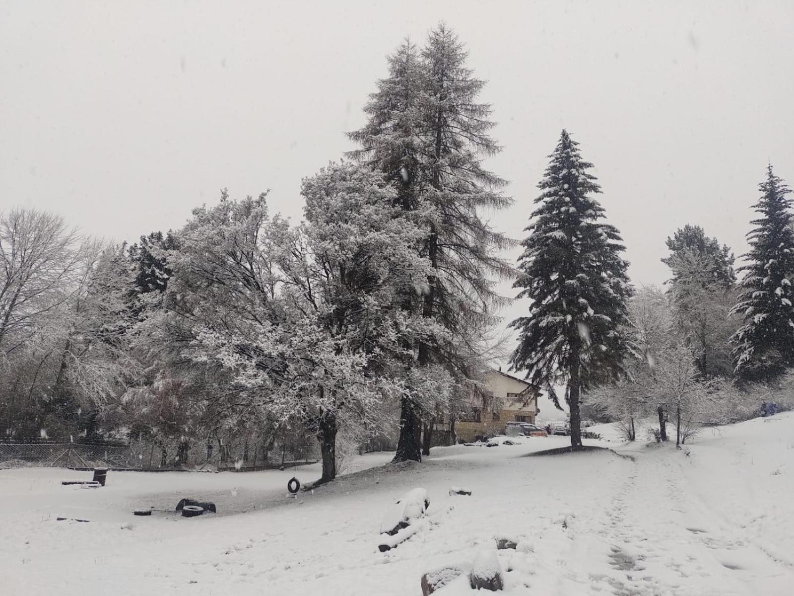 Posada Del Nireco San Carlos de Bariloche Exteriör bild