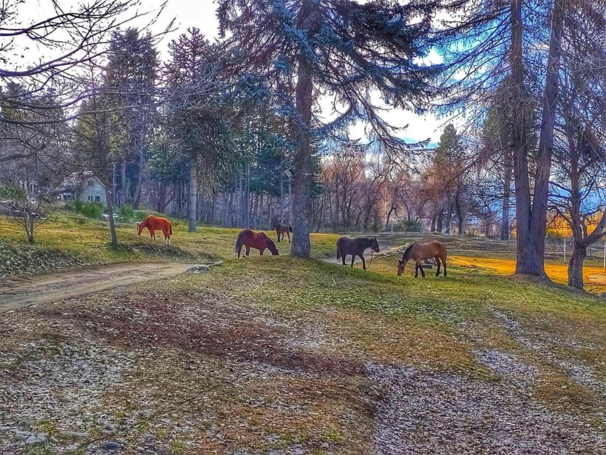 Posada Del Nireco San Carlos de Bariloche Exteriör bild
