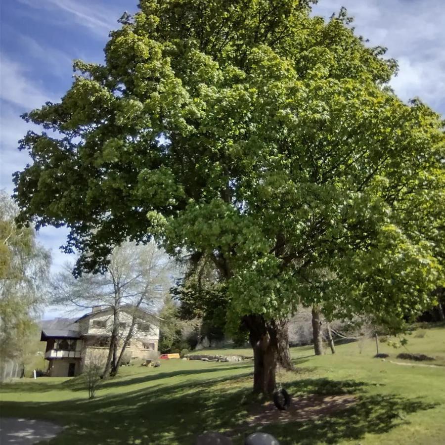 Posada Del Nireco San Carlos de Bariloche Exteriör bild