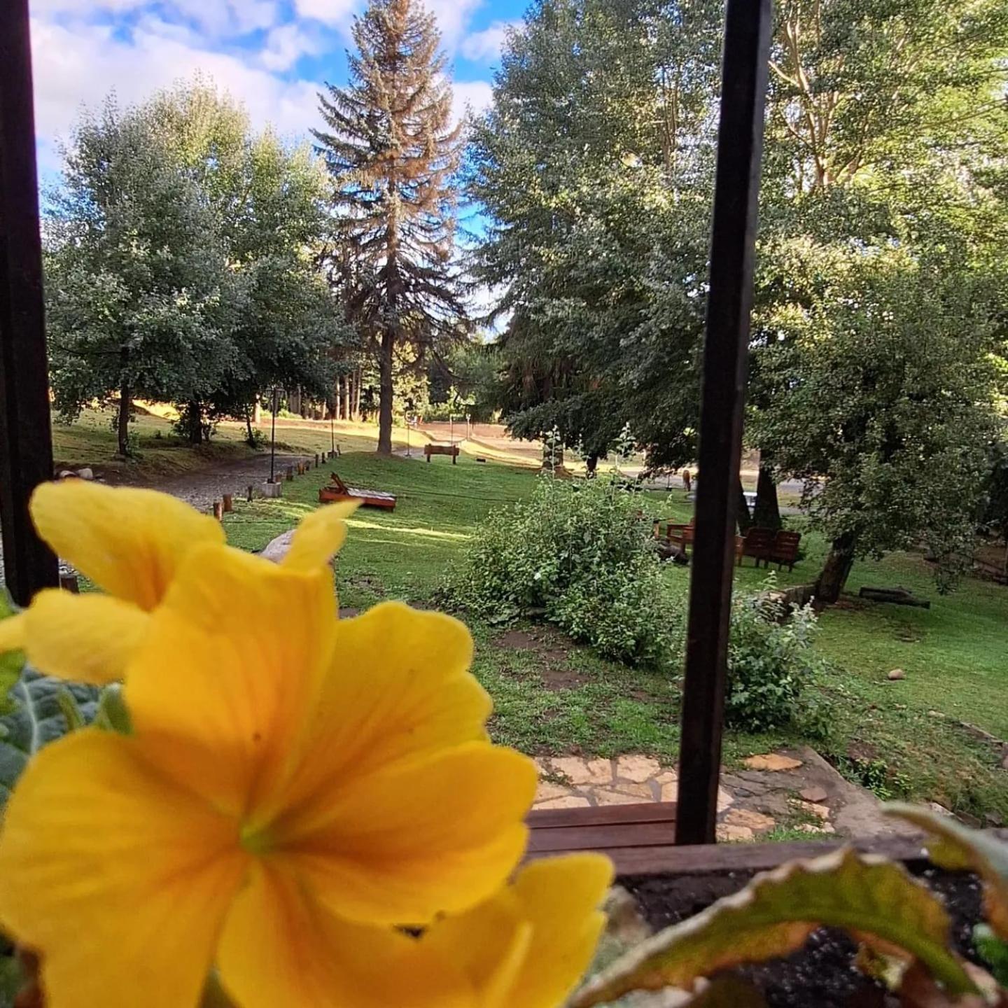 Posada Del Nireco San Carlos de Bariloche Exteriör bild