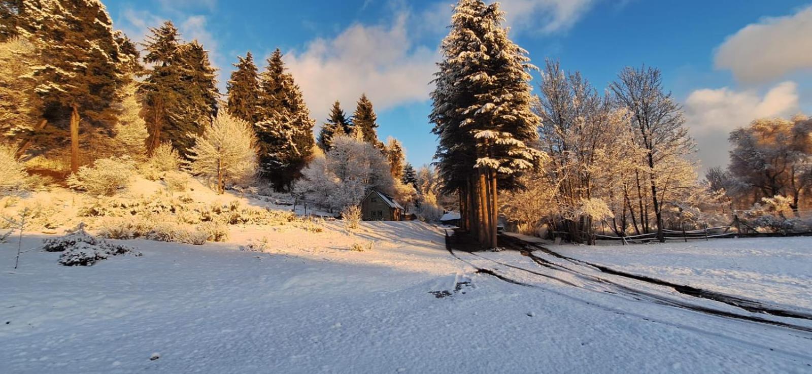 Posada Del Nireco San Carlos de Bariloche Exteriör bild